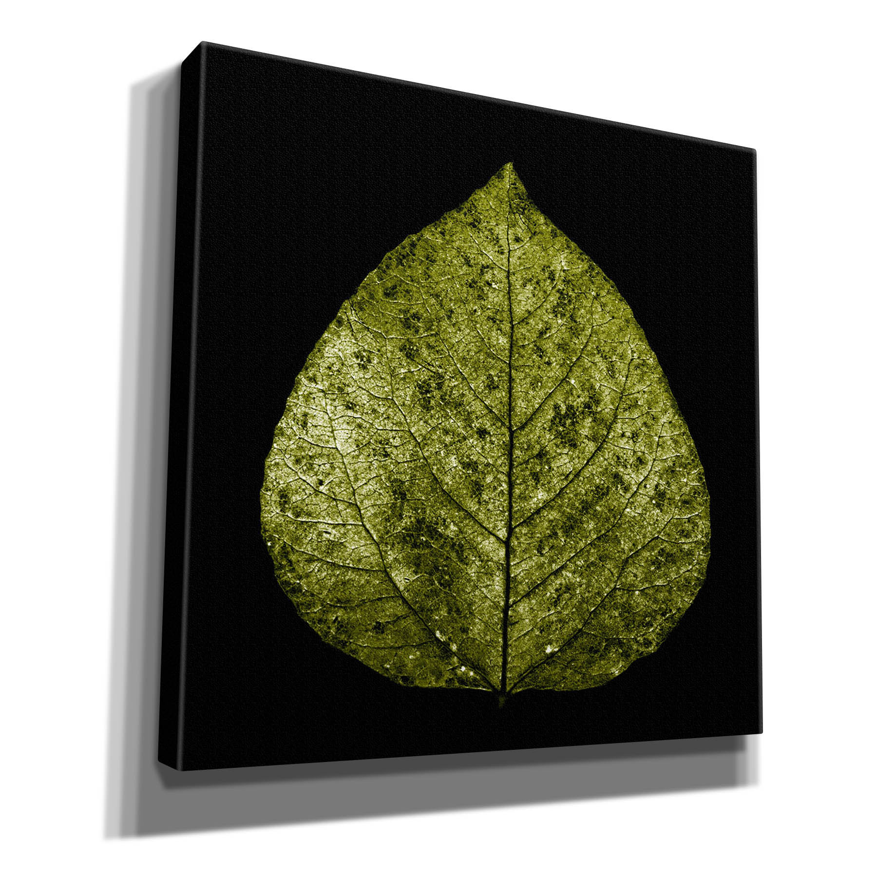 Epic Graffiti 'Green Leaf' By Photoinc Studio, Can " Green Leaf " by